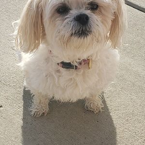 Meet your Posher, Margie